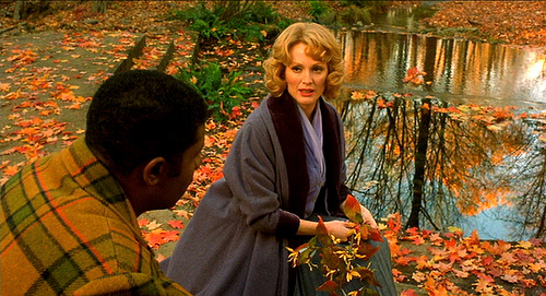 Far From Heaven 2